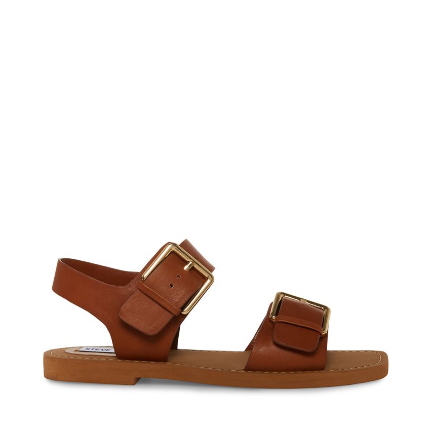 Brown Steve Madden Santo Leather Women\'s Flat Sandals | PH 3240GYA